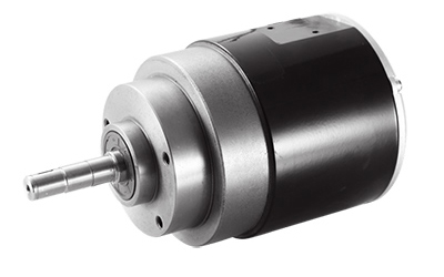 Motor DC de Imán Permanente sin Escobillas 900W (3100 RPM), TF110AH2